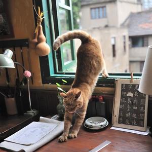 男模男色裸体Cay网站网红
