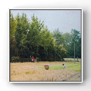 男模男色裸体Cay网站网红
