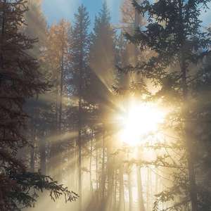 男模男色裸体Cay网站网红
